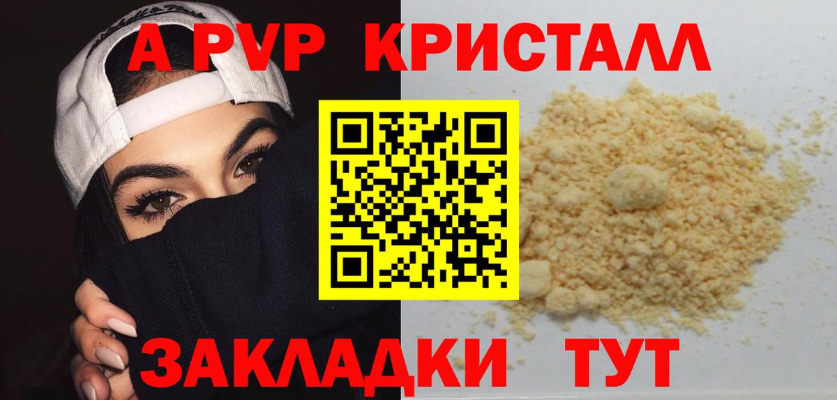 Альфа ПВП СК Ливны