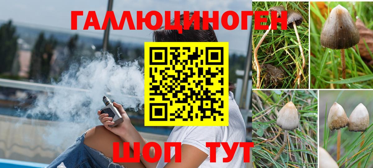закладка  Галлюциногенные грибы прущие грибы  Вход с VPN  Ливны 